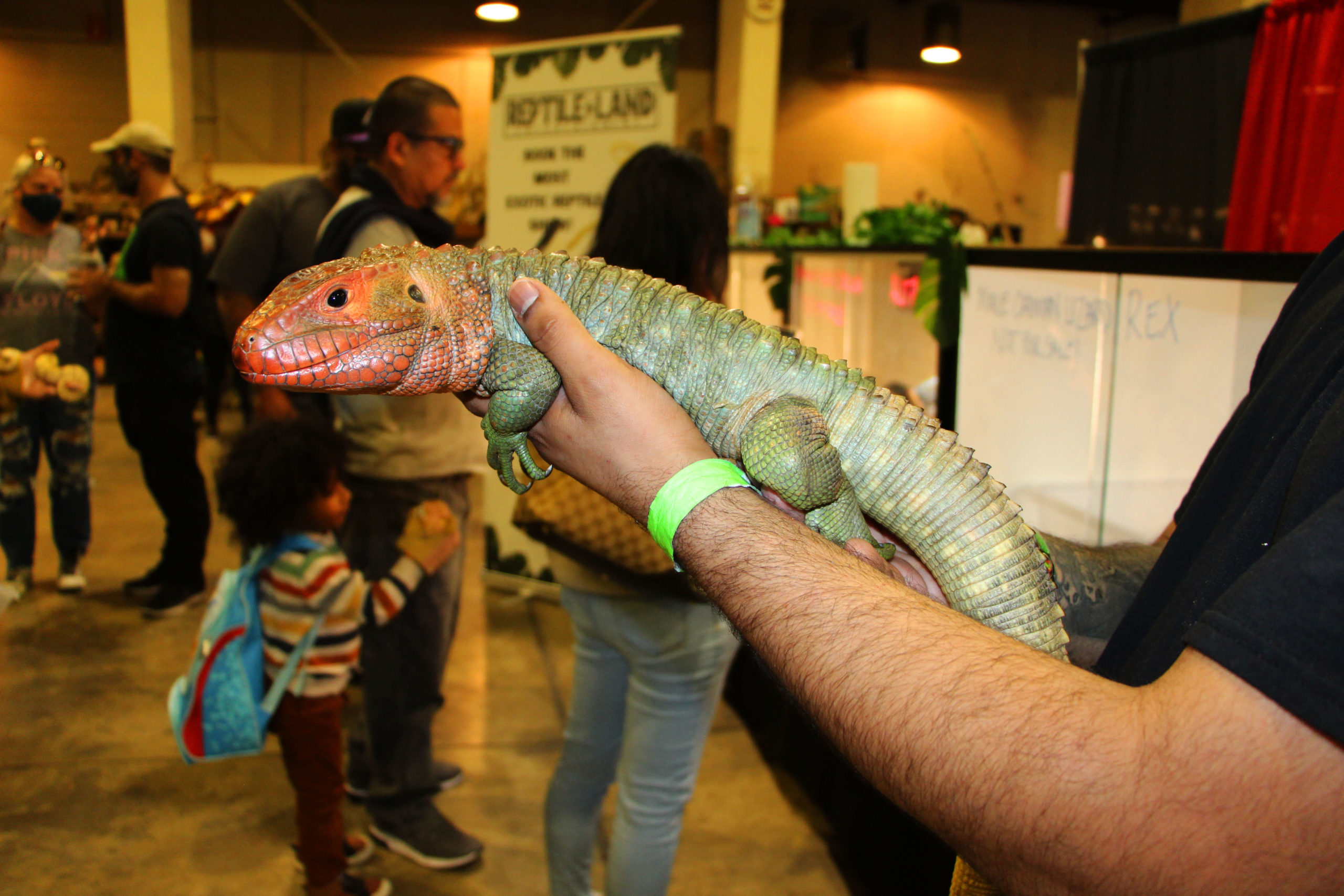 Reptile Super Show scales to new heights at Pomona Fairplex The Poly Post