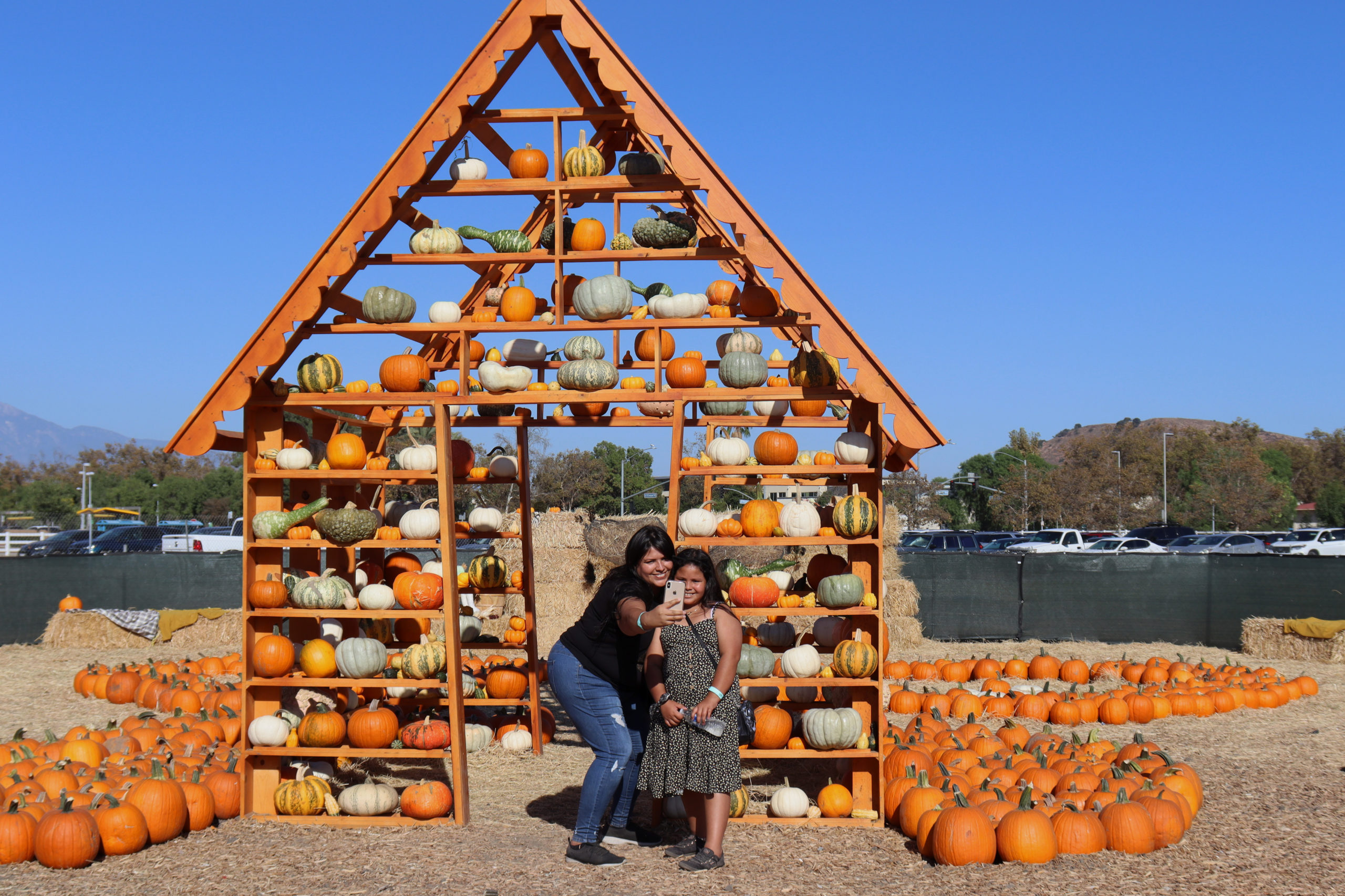 Pumpkin Festival 2024 Paris Kyoto Nita Terese