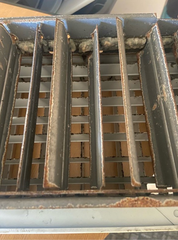 More students discover mold in dorms, causing a backup in work orders